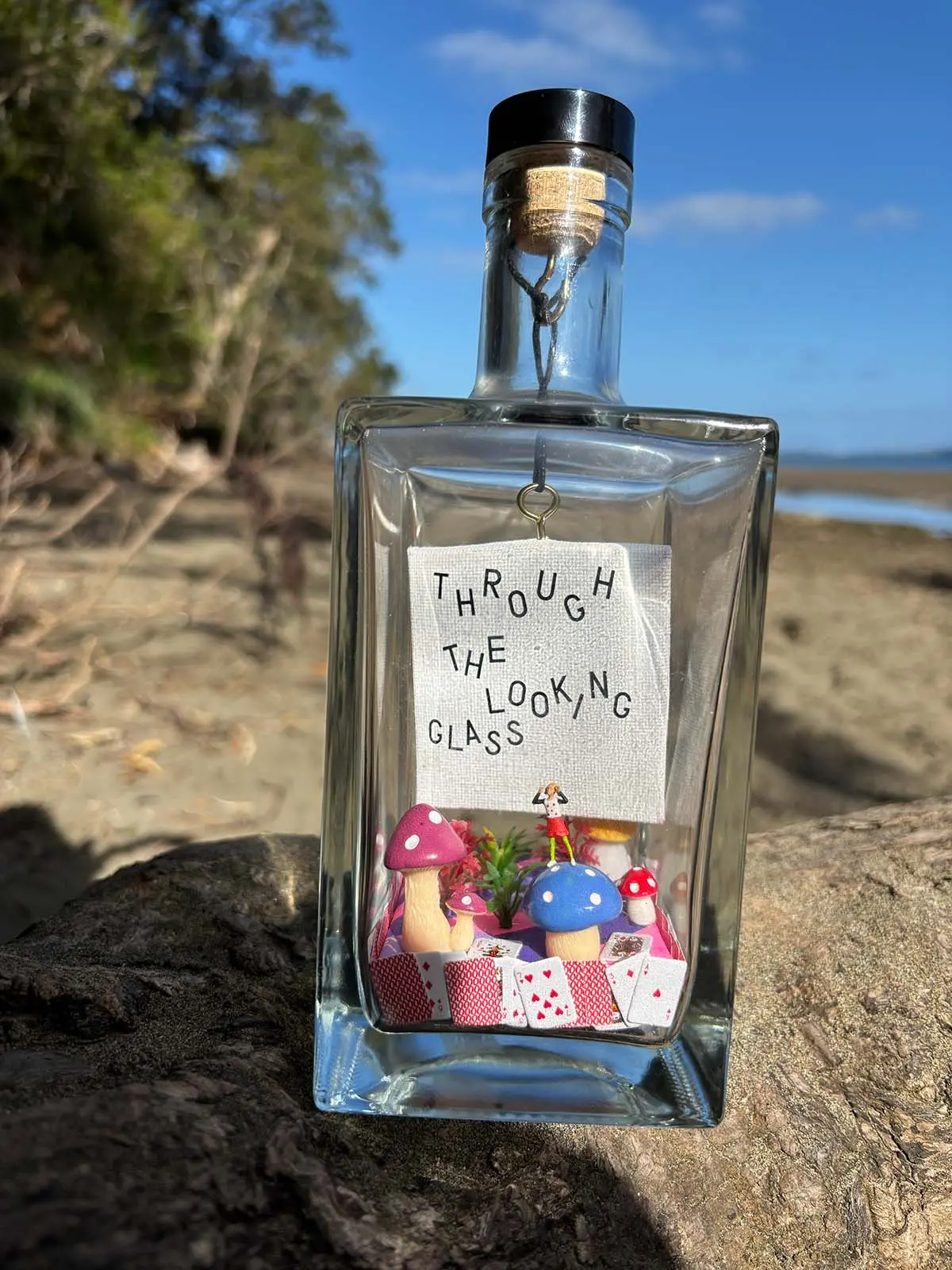 Through the Looking Glass, contemporary art Auckland