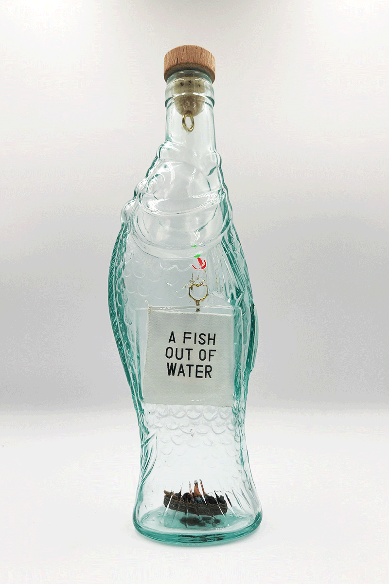 Fish-out-of-water-front