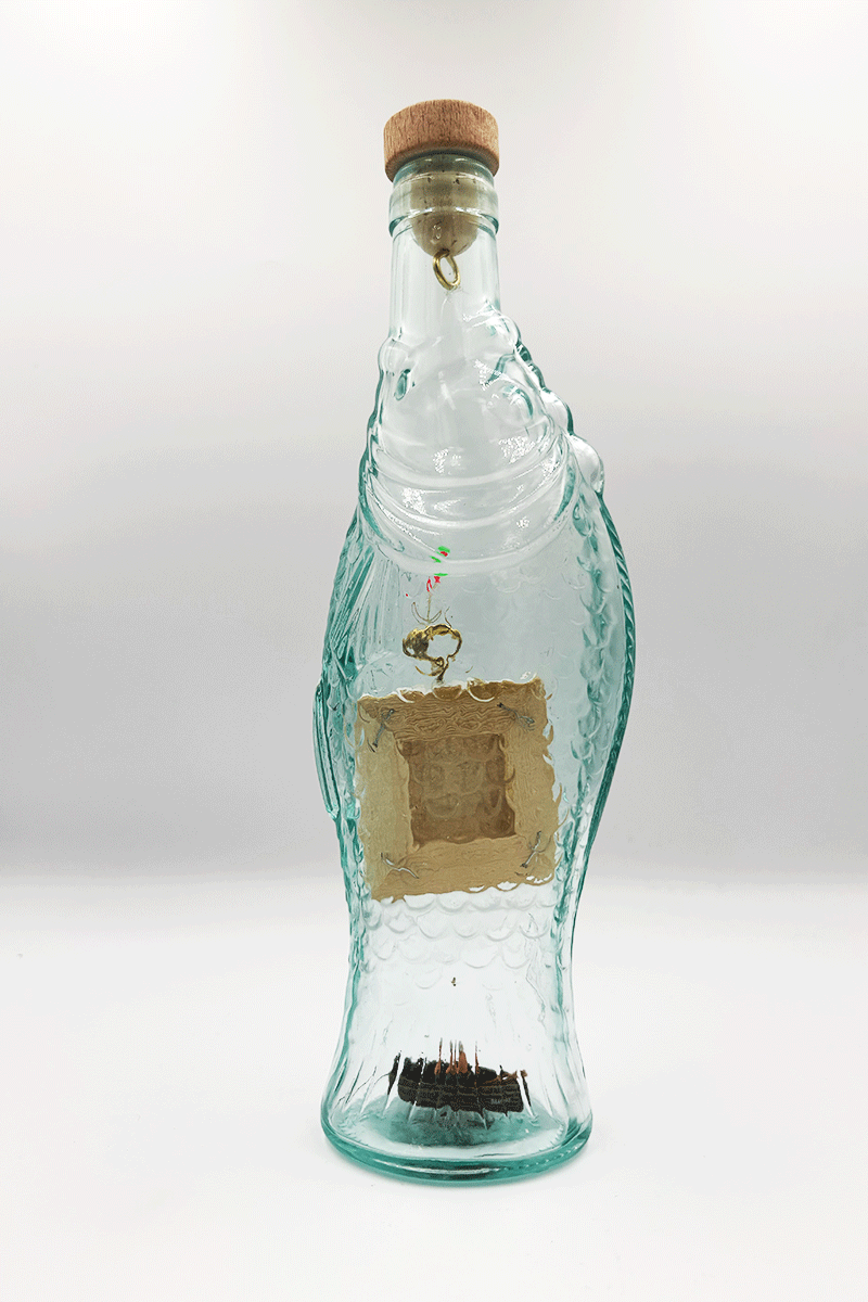 fish-out-of-water-back